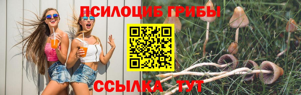 Галлюциногенные грибы MAGIC MUSHROOMS Улан-Удэ