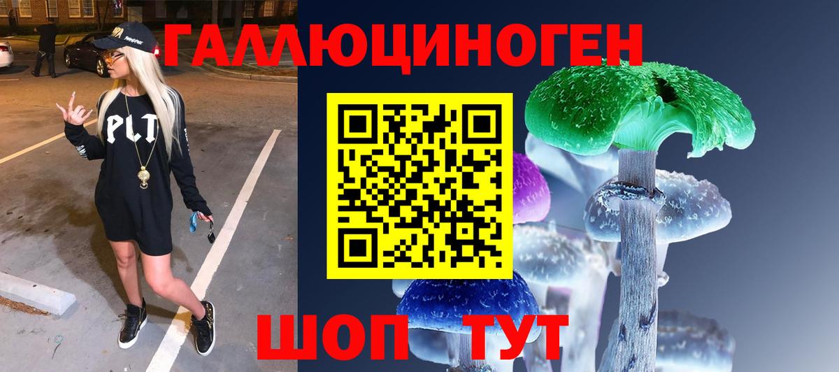 Улан-Удэ  Псилоцибиновые грибы GOLDEN TEACHER  как найти закладки  Вход с VPN 